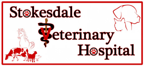 Welcome to the <br />Stokesdale Veterinary Hospital Family!
